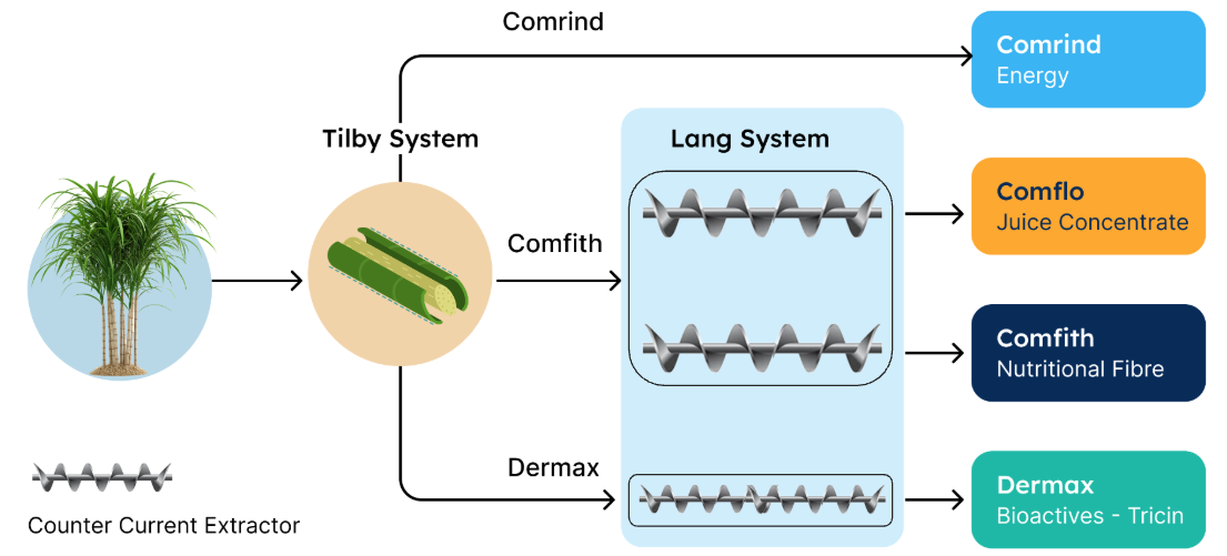 Tilby Lang process diagram: whole cane processed through cane separation and counter-current extraction into market-ready functional ingredients